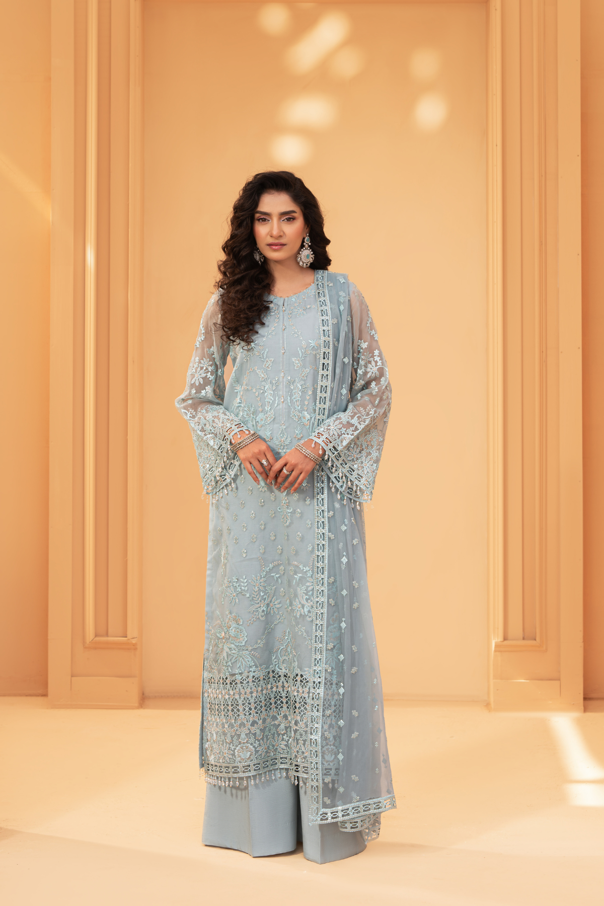 Formal Dresses | Pakistani Formal Elegant Dresses for Women Lavish Premium Formal Dresses | Pakistani Formal Elegant Dresses for Women Lavish Premium